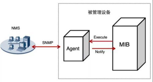 zabbix 5.0所有依賴包 一杯茶的時間,上手zabbix